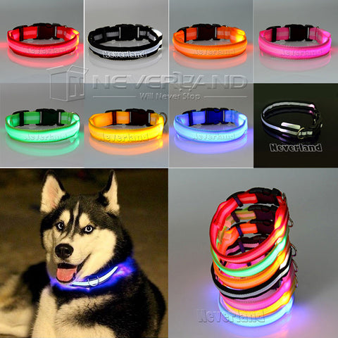 Pet Cat Dog Glow LED Collar Flashing Light Up Nylon Night Safety Collars Supplies 8 Color XS S M L Size Dropship USPS Shipping
