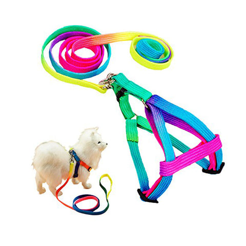 Hot Sell Adjustable Breakaway Rainbow Nylon Small Rabbit Cat collar leash  breast-band Dog lead Harness set goods for Pets