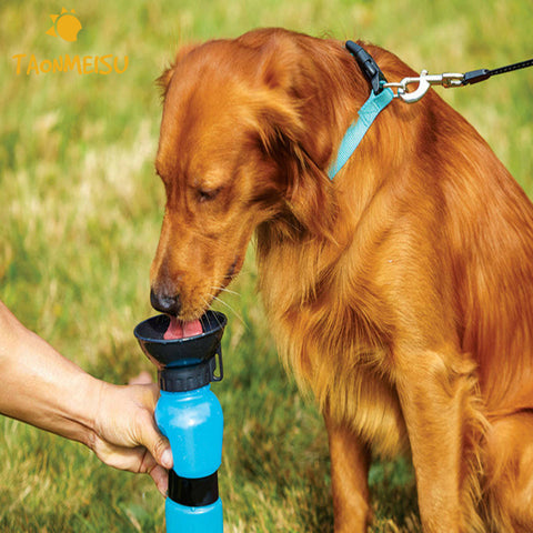 Anti-spill out design  Dog Feeding Water Bottle Outdoor Sport Travelling Kettle Bowl Drinking Plastic Pet Products Newest