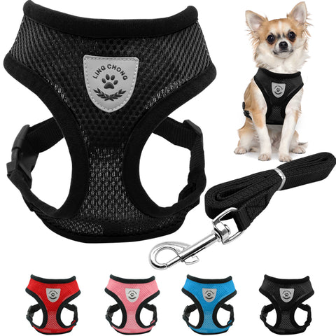 Breathable Mesh Small Dog Pet Harness and Leash Set  Puppy Vest Pink Red Blue Black For Chihuahua